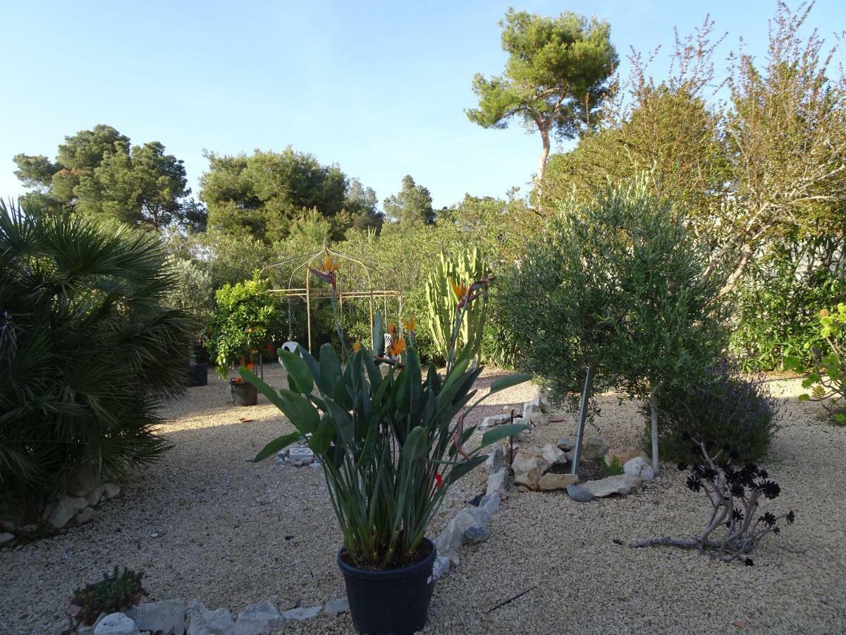 Casa Andaluz Holiday Villa ฮาเวอา ภายนอก รูปภาพ
